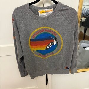 Aviator Nation Grey Men's Sweater